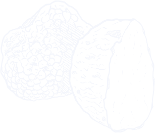 Truffled